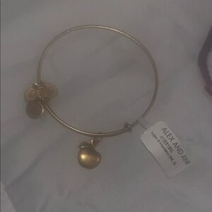 Alex and Ani Gold Charm Bracelet